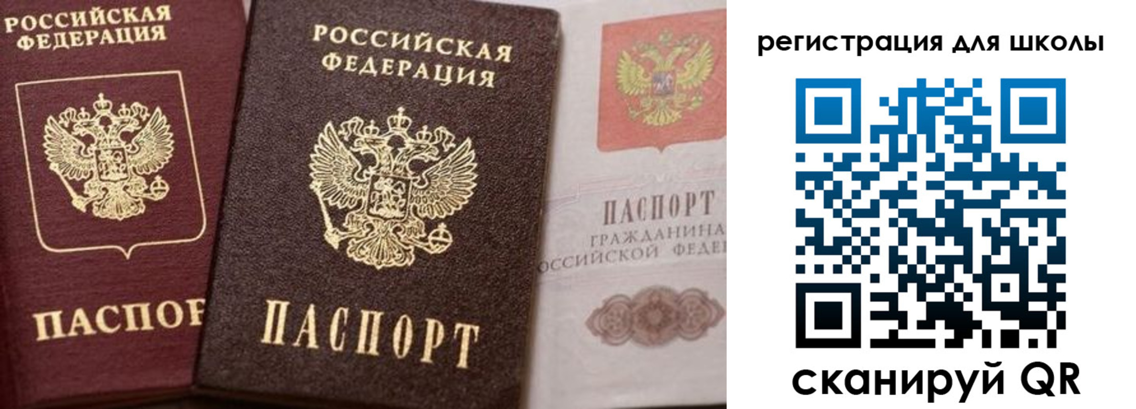 прописка штамп в Зеленоградске
